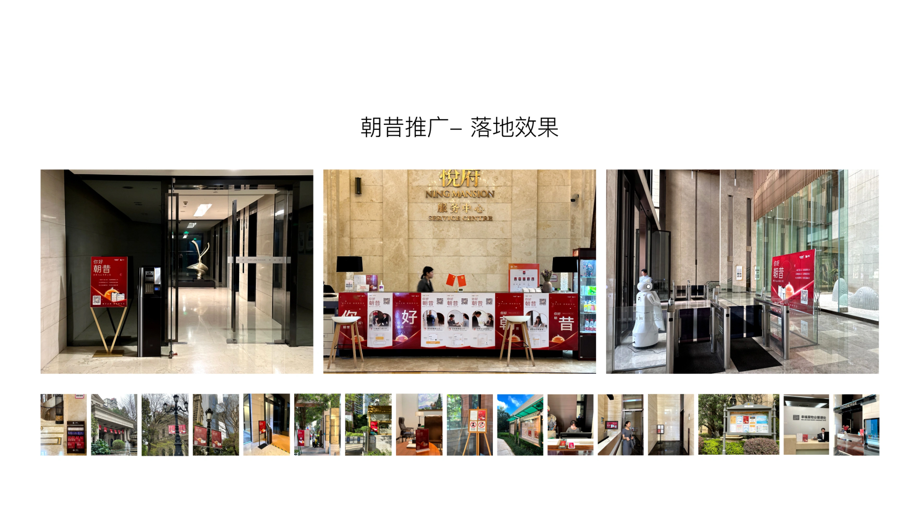 Hello Zhaox Campaign - Marketing Strategy